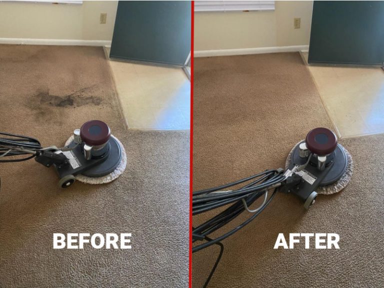 Carolina Carpet Cleaning Serving The Lowcountry Since 1993