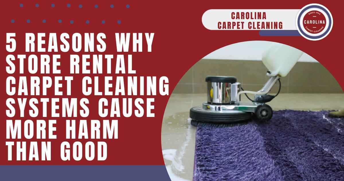 5 Reasons Why Store Rental Carpet Cleaning Systems Cause More Harm Than